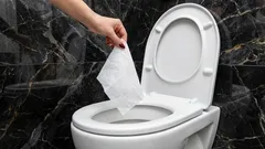 Non gettate mai questo nel WC: l’ingorgo è garantito