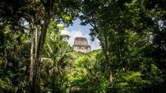 La piramide perduta: perché fu abbandonata la più grande città maya?